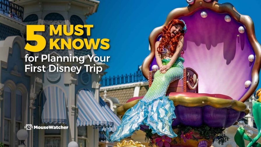 5 Must Knows for Planning Your First Disney Trip