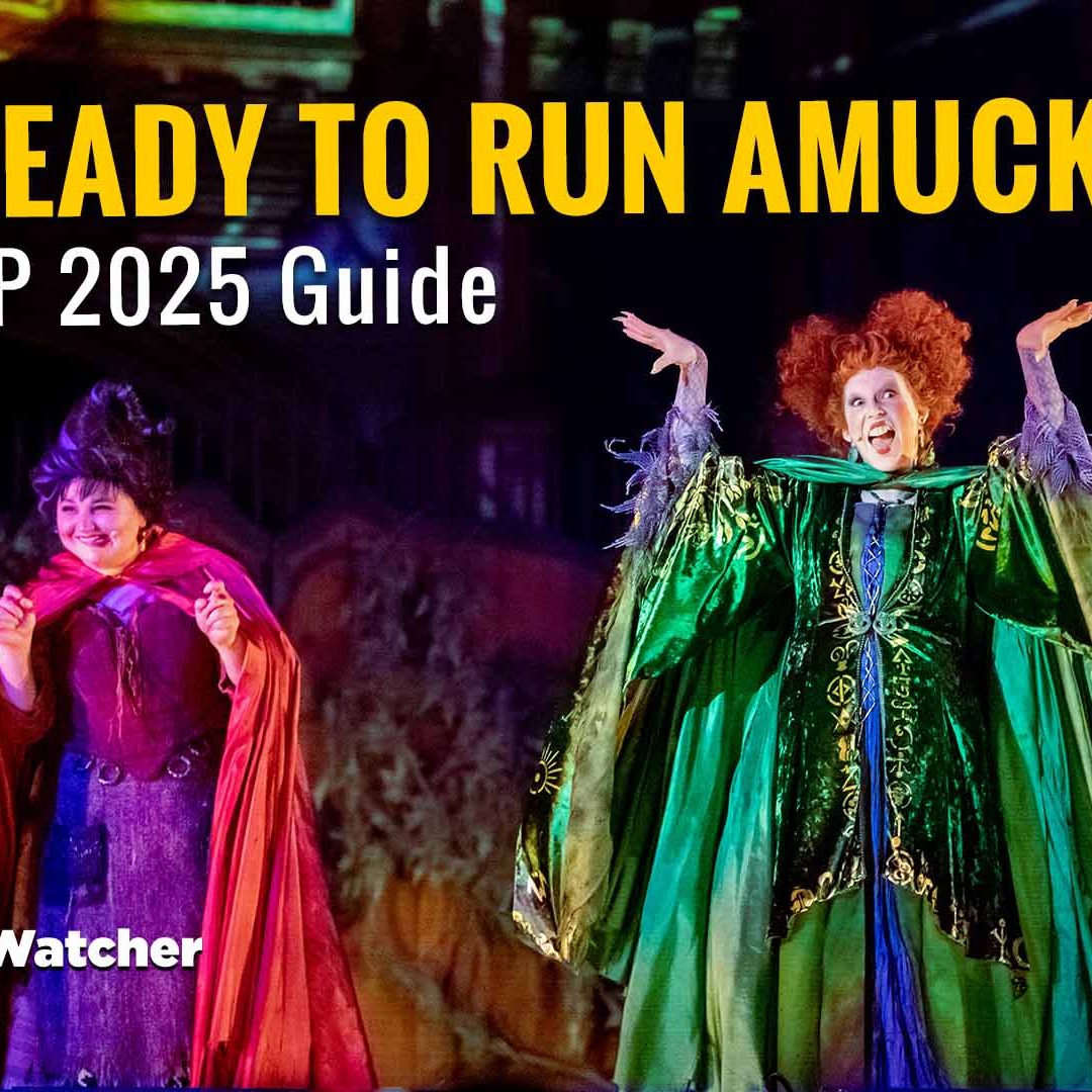 Mickey's Not-So-Scary Halloween Party 2025: What to Expect, Dates